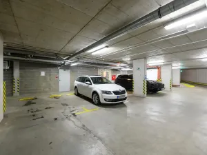 Pronájem obchodního prostoru, Plzeň, Otýlie Beníškové, 274 m2
