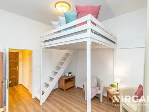 Pronájem bytu 1+kk, Praha - Vyšehrad, Vratislavova, 19 m2