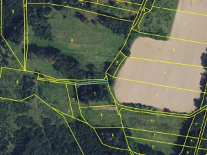 Prodej louky, Městečko Trnávka - Lázy, 1410 m2