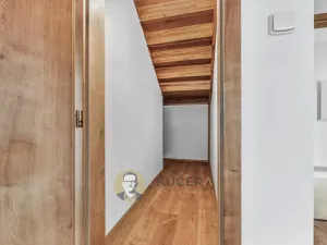 Prodej bytu 5+kk, Nemyslovice, 145 m2