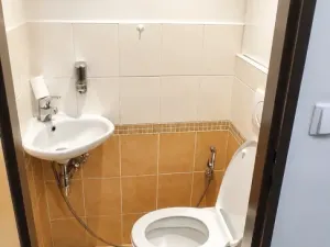 Pronájem bytu 3+1, Hranice - Hranice I-Město, Rezkova, 68 m2