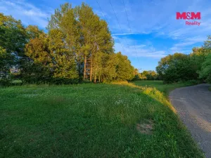 Prodej louky, Horní Bříza, 4590 m2