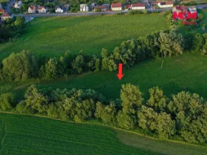 Prodej louky, Horní Bříza, 4590 m2