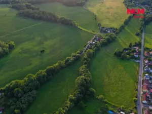 Prodej louky, Horní Bříza, 4590 m2