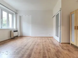 Pronájem bytu 2+kk, Praha - Žižkov, Biskupcova, 46 m2