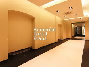 Pronájem restaurace, Praha - Nové Město, Václavské náměstí, 309 m2
