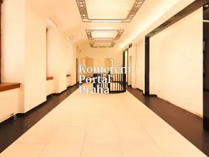 Pronájem obchodního prostoru, Praha - Nové Město, Václavské náměstí, 309 m2
