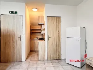 Pronájem bytu 1+kk, Hradec Králové - Plotiště nad Labem, 17 m2