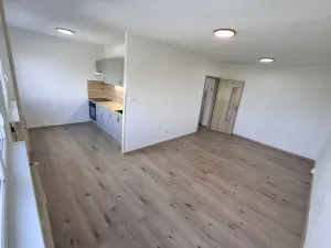 Prodej bytu 1+kk, Most, Javorová, 35 m2
