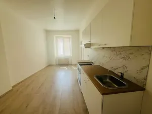 Pronájem bytu 1+1, Praha, 55 m2