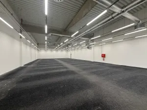 Pronájem obchodního prostoru, Cheb, Pražská, 615 m2