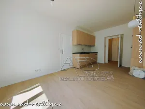 Pronájem bytu 2+kk, Praha - Vršovice, Oblouková, 41 m2