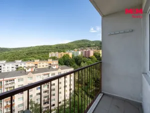 Prodej bytu 2+1, Ústí nad Labem - Střekov, Nová, 62 m2