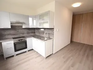 Pronájem bytu 1+1, Blatná, Na Bílé husi, 44 m2