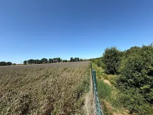 Prodej rodinného domu, Lety, 550 m2