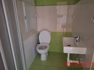 Pronájem bytu 1+kk, Dobřany, 17. listopadu, 19 m2