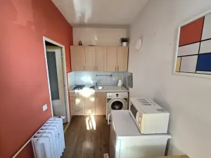 Pronájem bytu 1+1, Brno, Halasovo náměstí, 33 m2