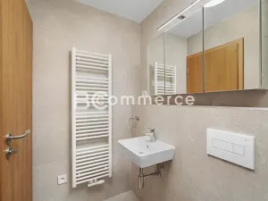 Pronájem bytu 1+kk, Brno, Dornych, 27 m2