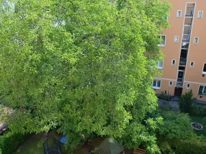 Pronájem bytu 1+kk, Praha, Pelhřimovská, 27 m2