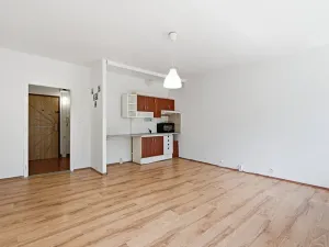 Prodej bytu 1+kk, Ústí nad Labem, Spartakiádní, 31 m2