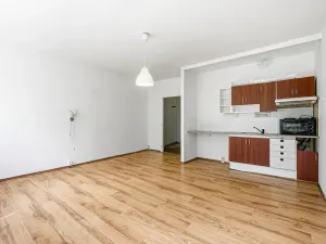 Prodej bytu 1+kk, Ústí nad Labem, Spartakiádní, 31 m2
