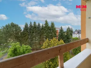 Pronájem bytu 3+1, Františkovy Lázně, Otakara Březiny, 67 m2