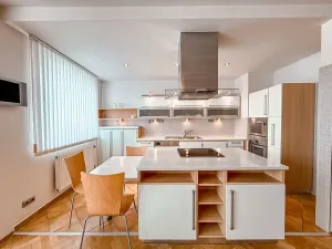 Pronájem bytu 4+kk, Praha - Žižkov, V kapslovně, 101 m2