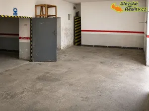 Pronájem skladu, Ostrava, 160 m2