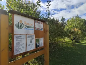 Pronájem bytu 1+kk, Brno, Hrázka, 37 m2