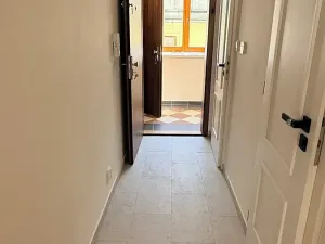 Pronájem bytu 1+kk, Praha - Žižkov, Seifertova, 25 m2