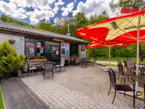 Prodej restaurace, Záchlumí - Litice nad Orlicí, 16967 m2