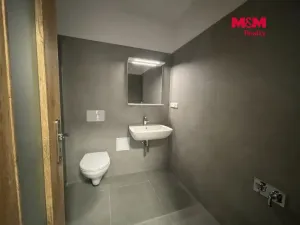 Pronájem kanceláře, Ostrava - Vítkovice, Lidická, 57 m2