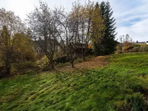 Prodej bytu 2+1, Bayerisch Eisenstein, Německo, Brennesstraße, 55 m2