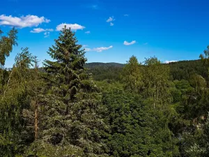 Prodej bytu 2+1, Železná Ruda, 55 m2