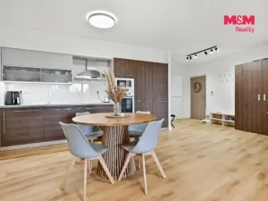 Pronájem bytu 2+kk, Mladá Boleslav - Mladá Boleslav I, Železná, 81 m2
