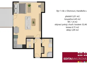 Pronájem bytu 1+kk, Olomouc, Handkeho, 43 m2