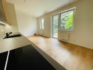 Pronájem bytu 2+kk, Rychnov u Jablonce nad Nisou, Mlýnská, 53 m2
