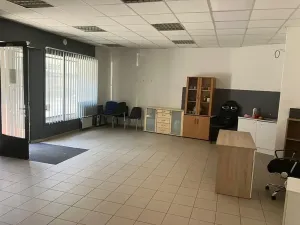 Prodej obchodního prostoru, Brandýs nad Labem-Stará Boleslav, 250 m2