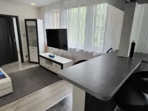 Pronájem bytu 2+1, Nový Jičín, Bezručova, 49 m2