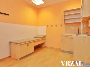 Pronájem ordinace, Plzeň, Francouzská třída, 80 m2