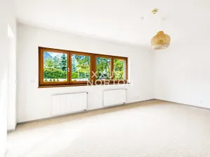 Pronájem bytu 3+1, Praha - Podolí, Lopatecká, 155 m2