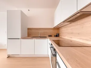 Pronájem bytu 2+kk, Praha - Vysočany, Hindlova, 53 m2