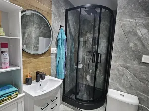 Pronájem bytu 1+1, Český Těšín, Okružní, 38 m2