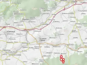 Prodej lesa, Mouřínov, 2823 m2