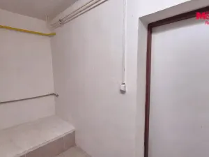 Pronájem obchodního prostoru, Most, Javorová, 58 m2