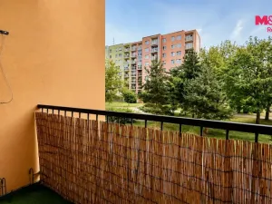 Pronájem bytu 3+1, České Budějovice - České Budějovice 2, Bezdrevská, 78 m2