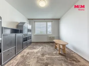 Prodej bytu 2+kk, Mladá Boleslav - Mladá Boleslav II, Jana Palacha, 44 m2