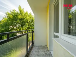 Prodej bytu 1+1, Olomouc - Nová Ulice, I. P. Pavlova, 35 m2