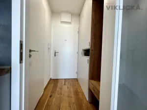 Pronájem bytu 1+kk, Praha - Vinohrady, Perucká, 27 m2