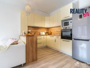 Pronájem bytu 1+kk, Brno, Kigginsova, 52 m2